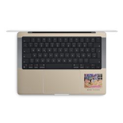 Foils for Laptops matt