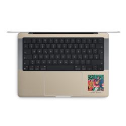 Foils for Laptops matt