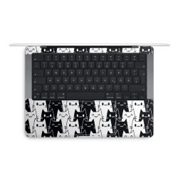 Foils for Laptops matt