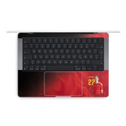 Foils for Laptops matt