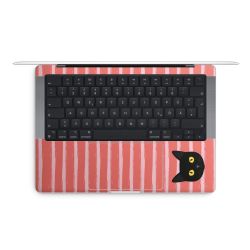 Foils for Laptops matt