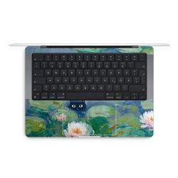 Foils for Laptops matt