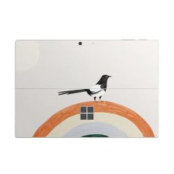 Foils for Laptops matt