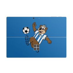 Folien für Laptops matt