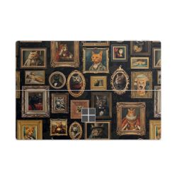 Foils for Laptops matt