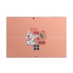 Foils for Laptops matt