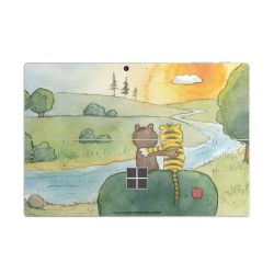 Foils for Laptops matt