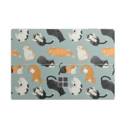 Foils for Laptops matt