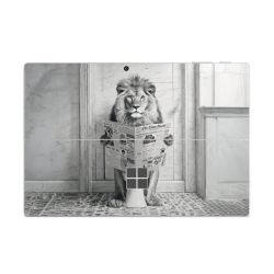 Foils for Laptops matt