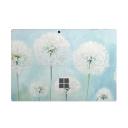 Foils for Laptops matt