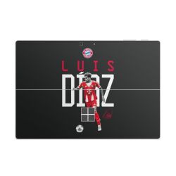 Foils for Laptops matt