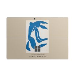 Foils for Laptops matt