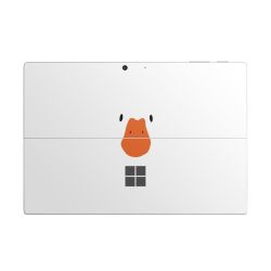 Foils for Laptops matt