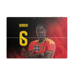 Foils for Laptops matt