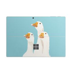 Foils for Laptops matt