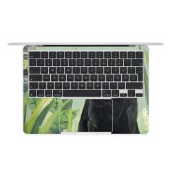 Foils for Laptops matt