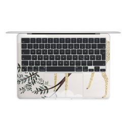 Foils for Laptops matt