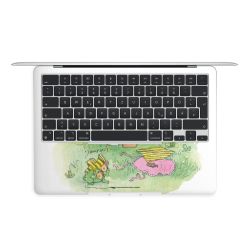 Foils for Laptops matt