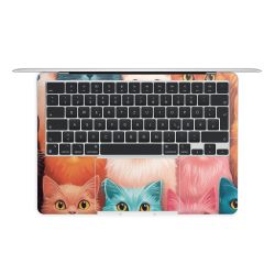 Foils for Laptops matt