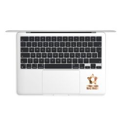 Foils for Laptops matt