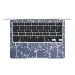 Foils for Laptops matt