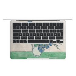 Foils for Laptops matt