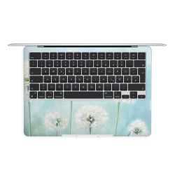 Foils for Laptops matt