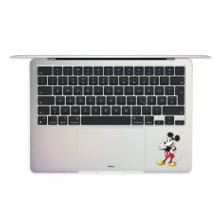 Foils for Laptops matt