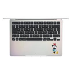 Foils for Laptops matt