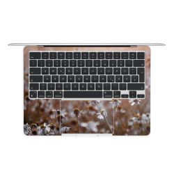 Foils for Laptops matt