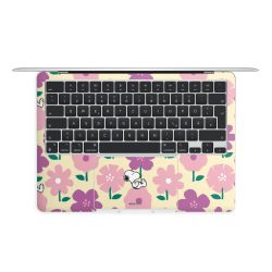 Foils for Laptops matt