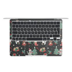 Foils for Laptops matt