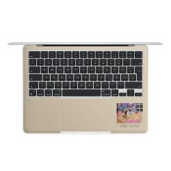 Foils for Laptops matt