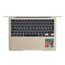 Foils for Laptops matt