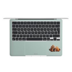 Foils for Laptops matt