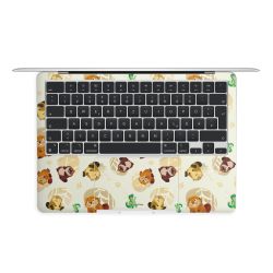 Foils for Laptops matt