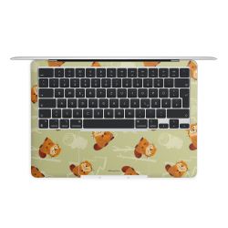 Foils for Laptops matt