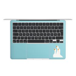 Foils for Laptops matt