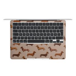 Foils for Laptops matt