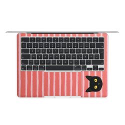 Foils for Laptops matt