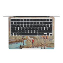 Foils for Laptops matt