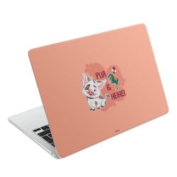 Foils for Laptops matt