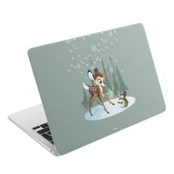 Foils for Laptops matt