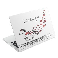 Foils for Laptops matt