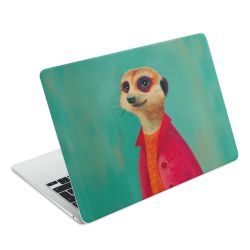 Foils for Laptops matt