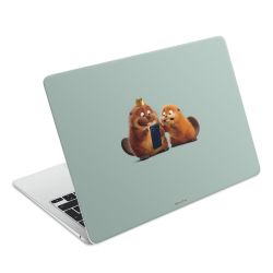 Foils for Laptops matt