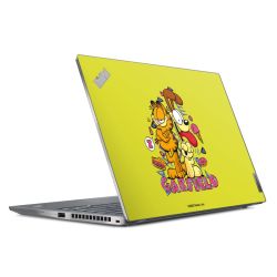 Foils for Laptops matt