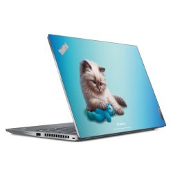 Foils for Laptops matt