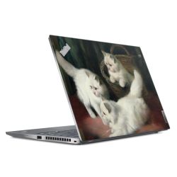 Foils for Laptops matt