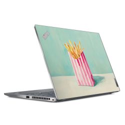 Foils for Laptops matt